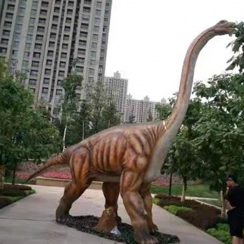 恐龍租賃活動(dòng)搭建出租出售