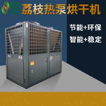 荔枝烘干機 荔枝烘干設(shè)備 荔枝龍眼烘干機源頭廠家