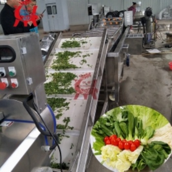 潤鼎生產(chǎn)加工氣泡清洗機(jī)