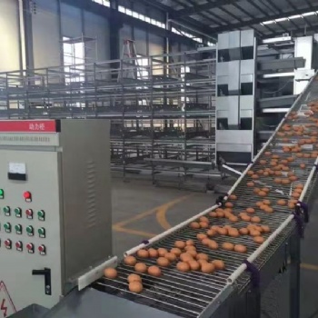 中州牧業(yè)供應(yīng)撿蛋機(jī) 集蛋機(jī)自動化設(shè)備