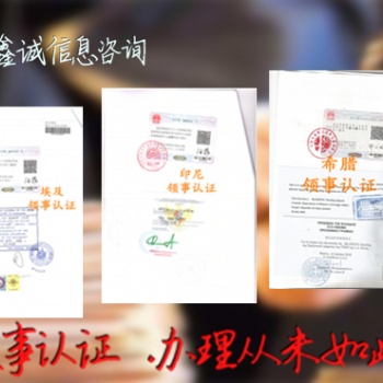 伯利茲使館蓋章投標委托書