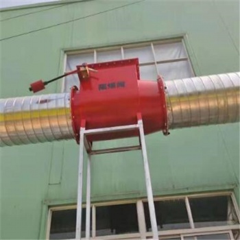 木材加工廠旋風(fēng)除塵器管道隔爆阻火裝置
