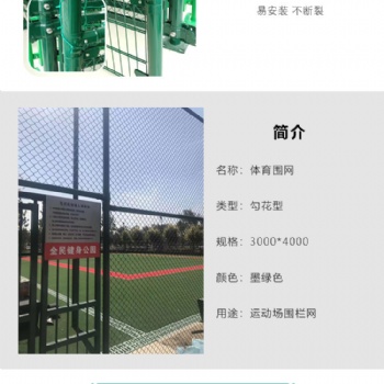 寶雞 球場圍網 操場圍欄護欄網 廠家定制