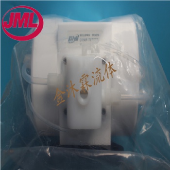 現(xiàn)貨供應(yīng)DINO電子級(jí)風(fēng)囊泵，DT100-TETETE，PTFE隔膜泵