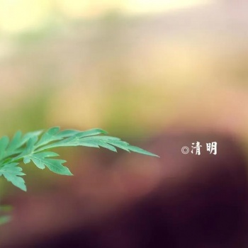 賢風(fēng)吟古琴防開裂保養(yǎng)常識(shí)