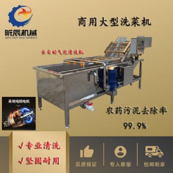 全自動(dòng)廚房洗菜機(jī)去農(nóng)殘果蔬氣泡清洗機(jī)中藥材清洗風(fēng)干流水線(xiàn)