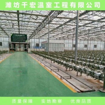 玻璃溫室 玻璃溫室建造 江西玻璃溫室設計
