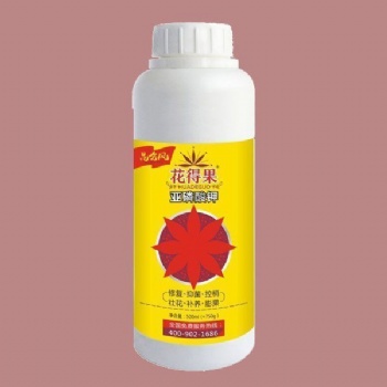 龍眼疏果原則，膨果增甜葉面追施肥使用花得果亞磷酸鉀