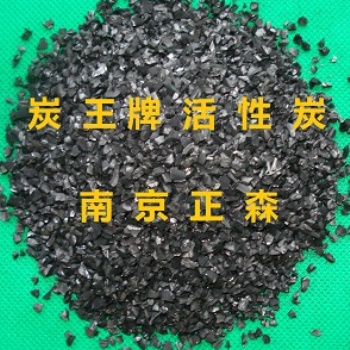 ZS-14型凈化水用顆?；钚蕴? /></a></div>
	<div   id=