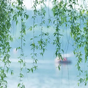 古琴?gòu)椬嗟乃俣群图?xì)節(jié)