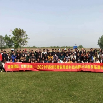 揚州做網(wǎng)站建設(shè)計公司，揚州百度開戶運營服務(wù)SEM優(yōu)化