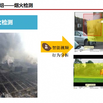 進入和離開、過線計數、方向檢測、煙霧火焰檢測智能分析