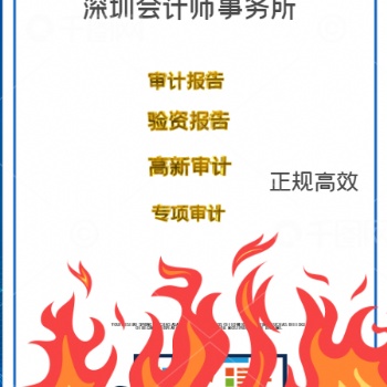 清算審計流程、專項審計費用