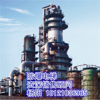 供應(yīng)上海市防爆電梯、煤氣柜電梯