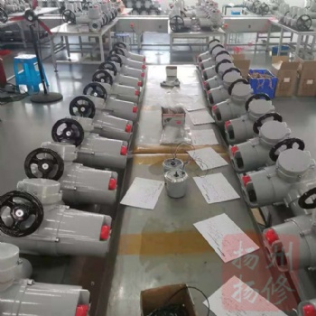 揚(yáng)修太陽能電動執(zhí)行器FQ10電壓DC24V