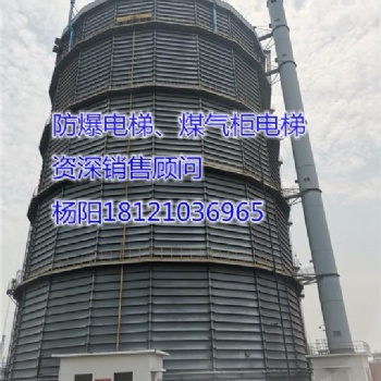 供應湖南省張家界市永定區防爆電梯、煤氣柜電梯