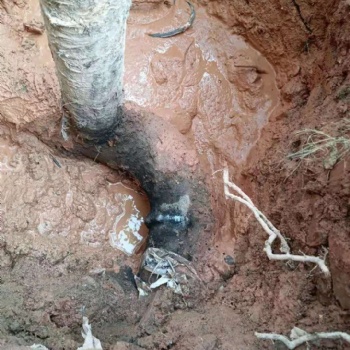 查地下水管漏水公司，管道漏水測(cè)漏公司，管道漏水維修服務(wù)