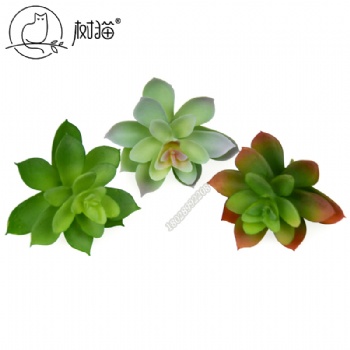 樹貓仿真綠植假多肉月兔耳辦公家居擺件