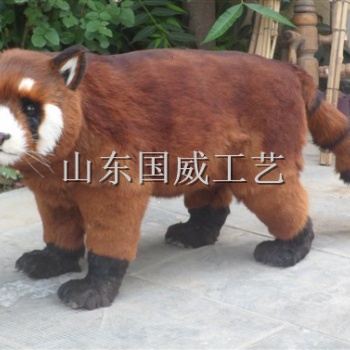 仿真小熊貓模型仿真小熊貓標本