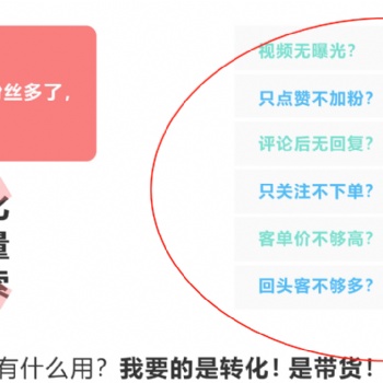 精量智能短視頻詢盤獲客軟件 副業(yè)賺錢好助手