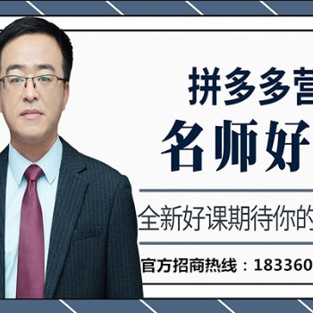 長春拼多多店群運營教學(xué)，專業(yè)服務(wù)值得**，電商工作室創(chuàng)業(yè)項目