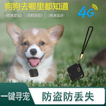 外貿(mào)出口4G GPS老人小孩寵物定位器 狗狗去哪里都知道 精準定位一鍵尋寵