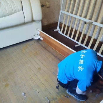 織里妙西搬家搬運(yùn)電話