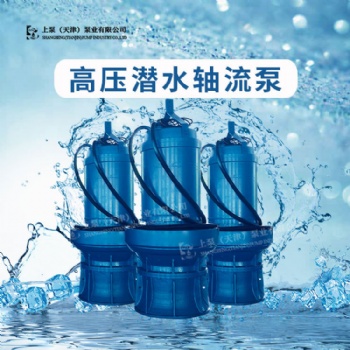 湖北經(jīng)銷處800QZB-50潛水軸流泵市政排水農(nóng)業(yè)灌溉