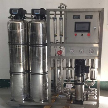 巢湖市小型純水機廠家 電子級純化水處理 輝月RO反滲透去離子水設備