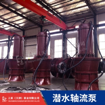 湖北總經(jīng)銷800QZB-50潛水軸流泵市政排水農(nóng)業(yè)灌溉