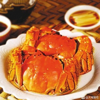洪澤湖大閘蟹價格 大閘蟹批發(fā) 大閘蟹