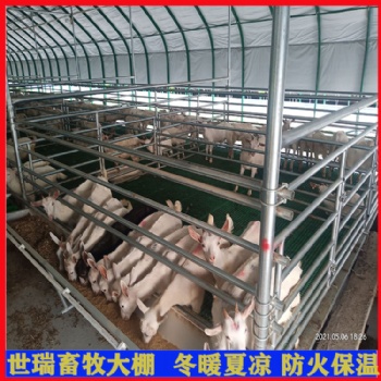 山羊養(yǎng)殖棚搭建 養(yǎng)雞棚建設(shè)材料 養(yǎng)羊棚施工廠家