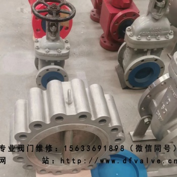 專業(yè)閥門維修 對(duì)夾止回閥維修