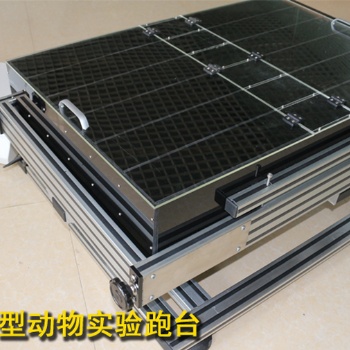 小動物跑臺 動物跑步機(jī) 大鼠實(shí)驗(yàn)跑臺