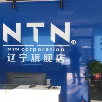NTN恩迪（沈陽）傳動設備有限公司簡介
