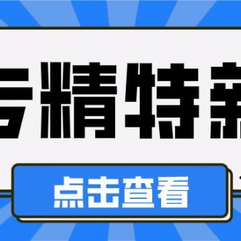 2021年合肥市專精特新小巨人申報流程和獎補政策