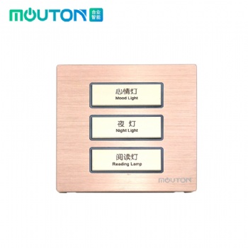 酒店輕觸開關(guān) 智能客控系統(tǒng)