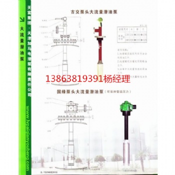 化工泵防爆泵綠牌免維護(hù)新型潛液泵