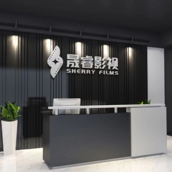 2021年武漢晟睿，mg 動(dòng)畫(huà)，高清動(dòng)畫(huà)