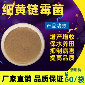 細黃鏈霉菌在生物肥料發酵和農作物種植方面的產品優勢