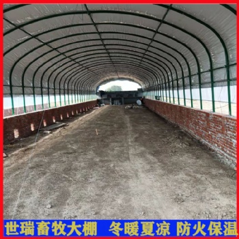 肉鵝養(yǎng)殖棚建設(shè) 散養(yǎng)鵝棚施工搭建 養(yǎng)鵝大棚建造廠家