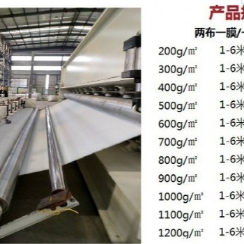 甘肅蓄水池兩布一膜使用規(guī)格，西寧垃圾填埋場防滲土工膜、長絲土工布生產廠家