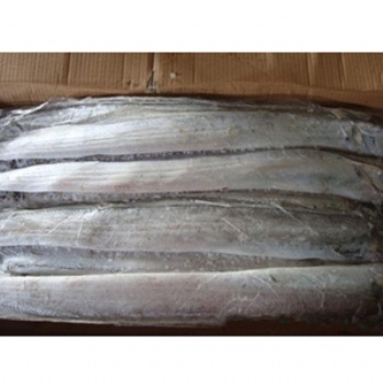 天津進(jìn)口冷凍帶魚(yú)流程