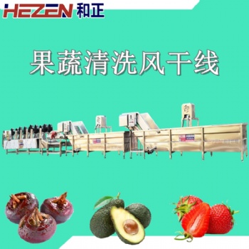 和正機(jī)械果蔬氣泡清洗機(jī) 去農(nóng)殘蔬菜清洗流水線 火龍果連續(xù)式清洗設(shè)備