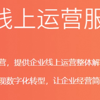 提供中小企業數字化轉型服務