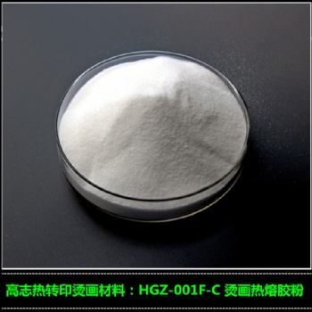 供應(yīng)高志白墨燙畫用熱熔粉HGZ-001F-C 撒粉 熱轉(zhuǎn)印燙畫熱熔粉