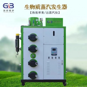 國邦0.1-2T節(jié)能鍋爐生物質(zhì)蒸汽發(fā)生器電鍋爐天然氣顆粒燃燒蒸汽機