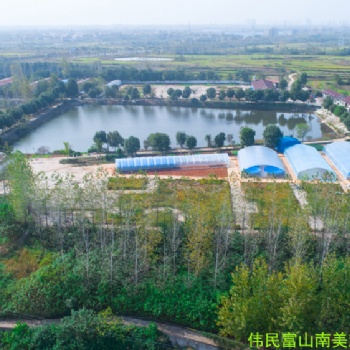 偉民富山水產——南美對蝦水質條件