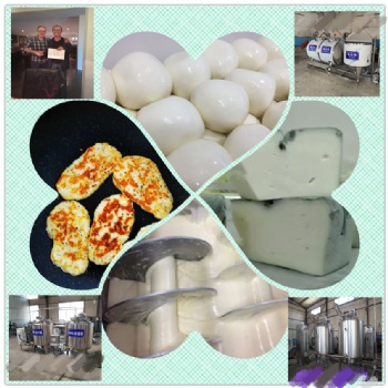 奶酪設(shè)備生產(chǎn)線 車(chē)達(dá)奶酪生產(chǎn)線
