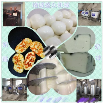 小型奶酪加工設(shè)備小型奶酪生產(chǎn)線